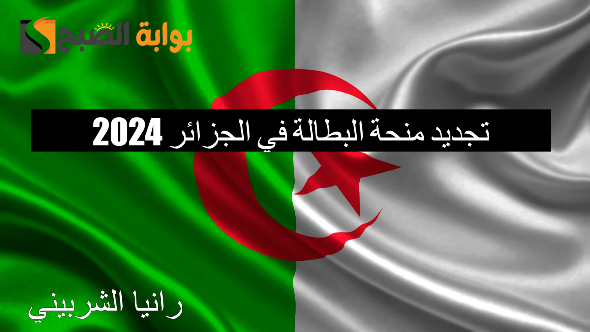 “لينك anem.dz” تجديد منحة البطالة في الجزائر 2024 عبر الوكالة الوطنية للتشغيل وأهم الشروط اللازمة للتجديد