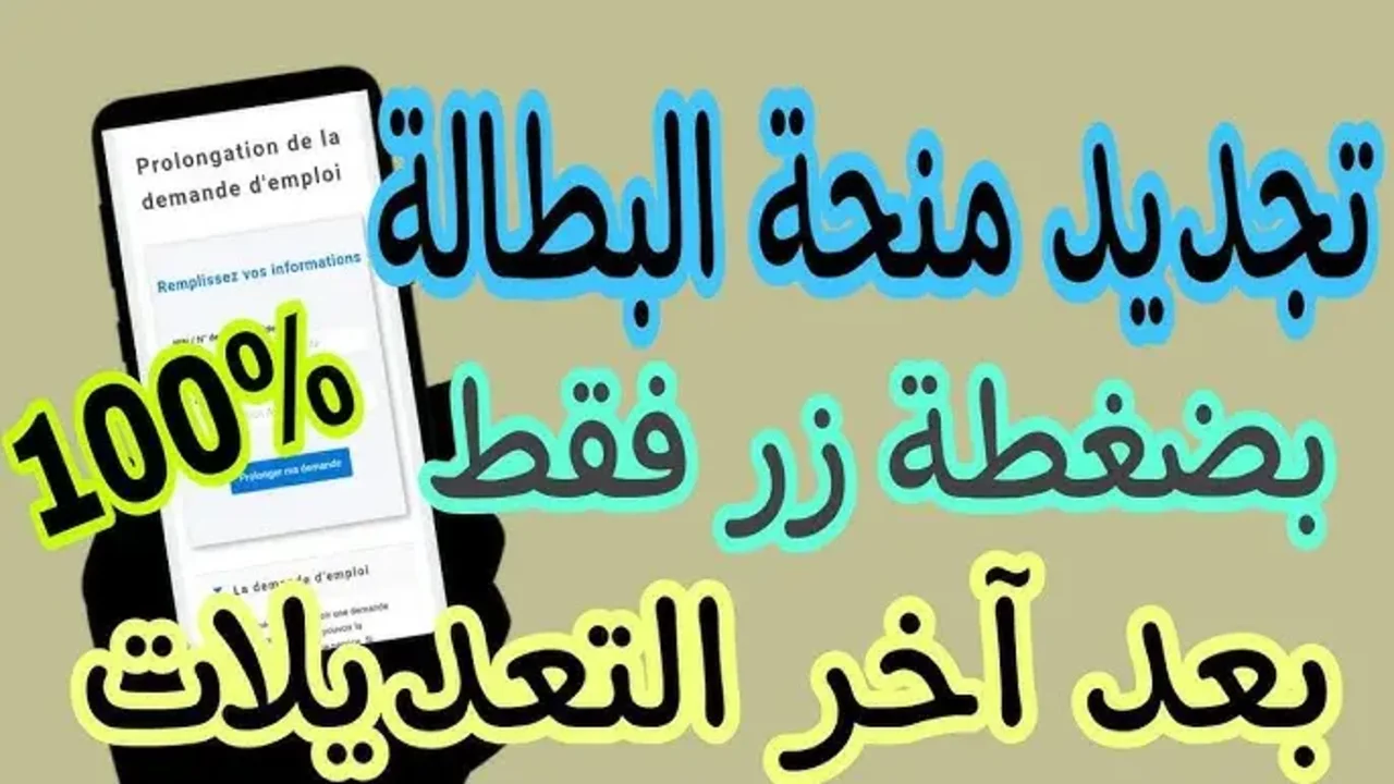 جدد في ثواني من هنا anem.dz.. خطوات تجديد منحة البطالة في الجزائر 2024 وأهم شروط المنحة 5 جدد في ثواني من هنا anem.dz.. خطوات تجديد منحة البطالة في الجزائر 2024 وأهم شروط المنحة