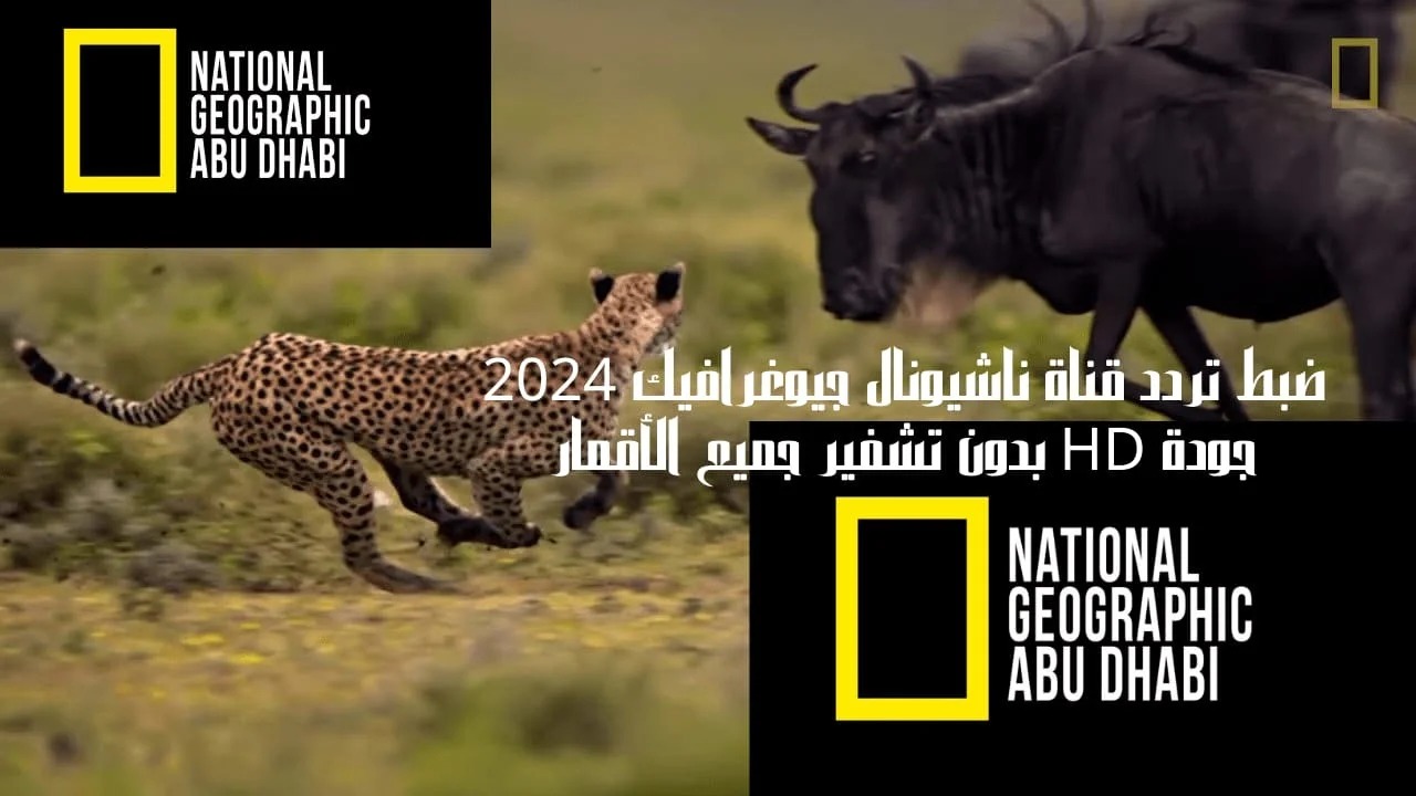 استقبل تردد قناة ناشيونال جيوغرافيك أبو ظبي 2024 National Geographic وتابع أقوى البرامج الوثائقة