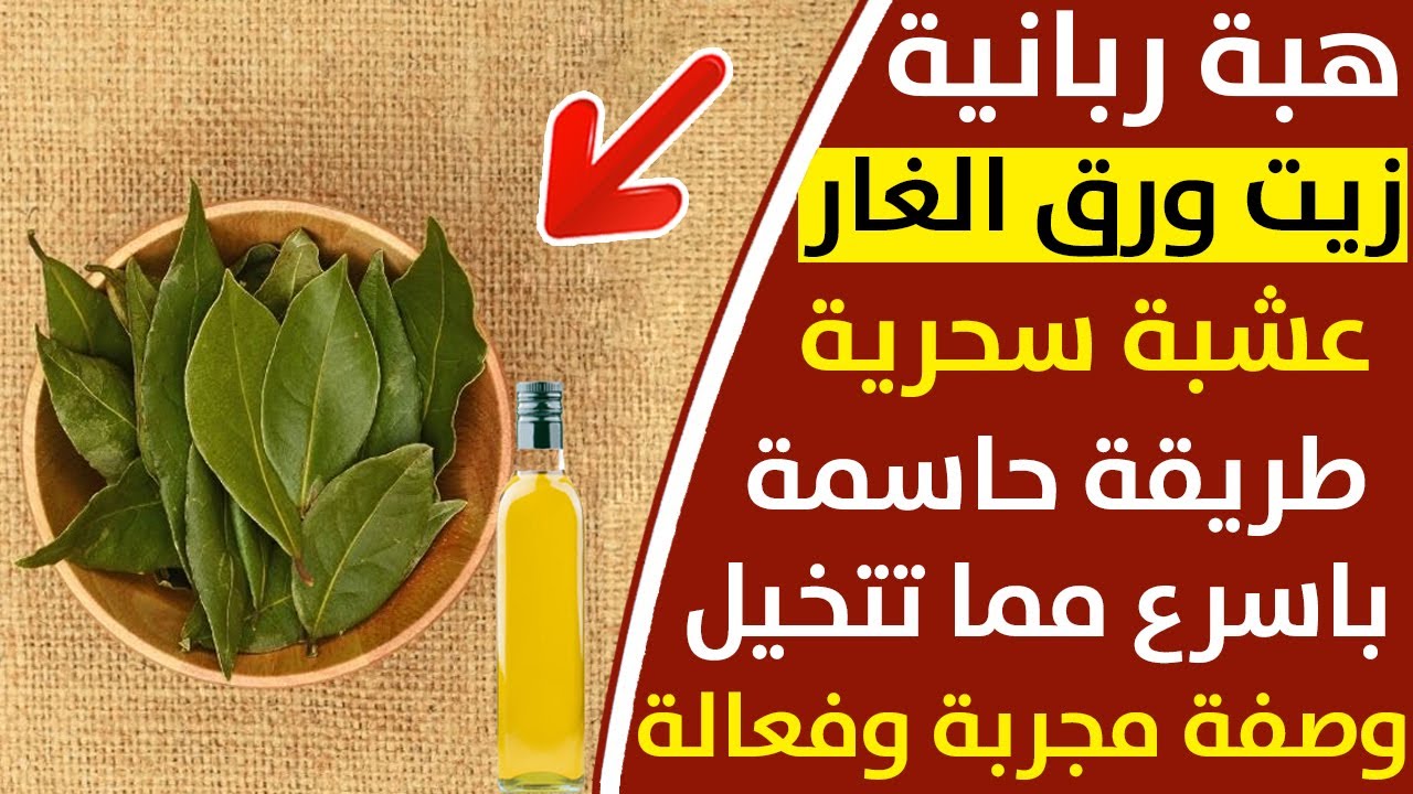 لبشرة مثل الأطفال.. حضري زيت الغار في منزلك لشد البشرة ومحاربة التجاعيد