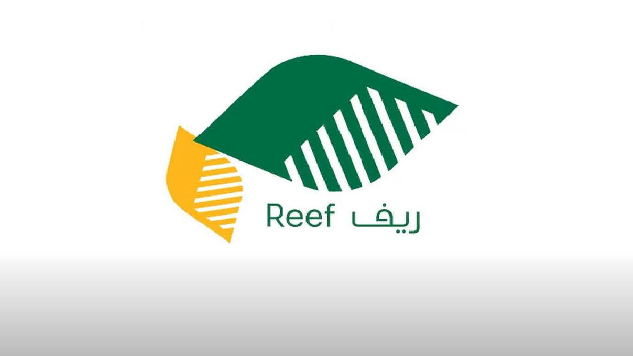 وزارة البيئةوالمياة …تكشف عن شروط الحصول على دعم ريف ربات البيوت وطريقة التسجيل 1446