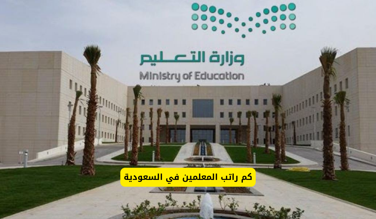 سلم رواتب المعلمين الجديد 1446 في المملكة العربية السعودية