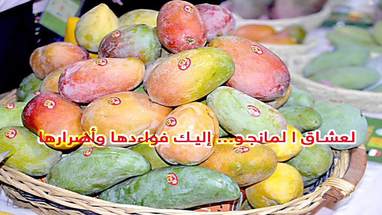 هل تحب تناول المانجو… إليك ما سيحدث لجسمك عند تناولها