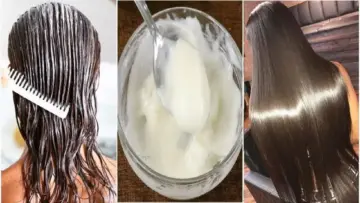 هيخلي شعرك خيوط حرير.. ماسك الخميرة والعسل للشعر فرد وتنعيم سحري نتيجة خيالية من اول استعمال