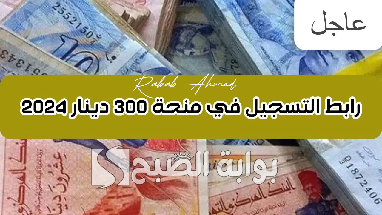 رابط التقديم في منحة 300 دينار تونس 2024 وأهم الأوراق المطلوبة