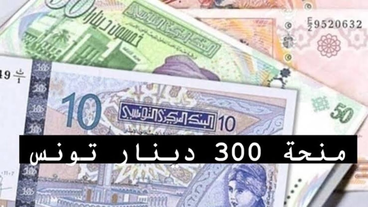 رابط eservices.social.gov.tn منحة 300 دينار تونس 2024 وشروط التسجيل