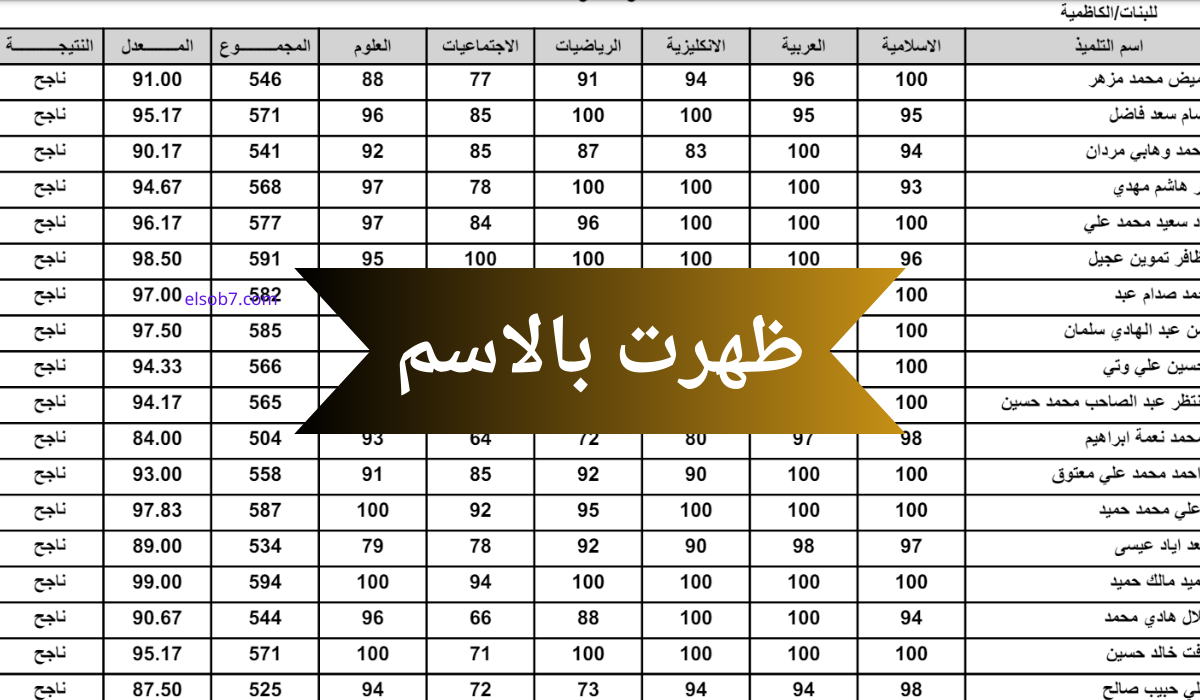 “كوكل درايف” رابط نتائج السادس الاعدادي 2024 الدور الاول بالاسم وزارة التربية العراقية تنزيل PDF