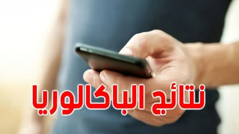 نتائج البكالوريا الاستدراكية 2024 المغرب men.gov.ma الرابط المباشر للإستعلام