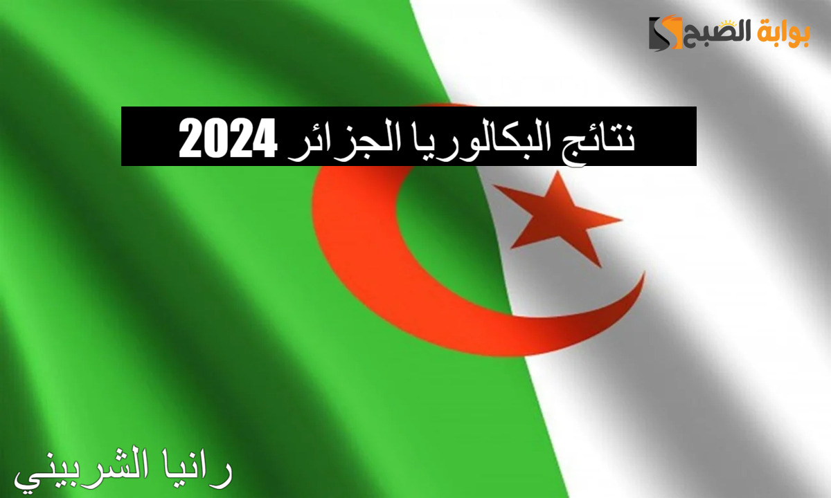 لينك استعلام نتائج البكالوريا الجزائر 2024 عبر موقع الديوان الوطني للمسابقات ووزارة التربية الوطنية