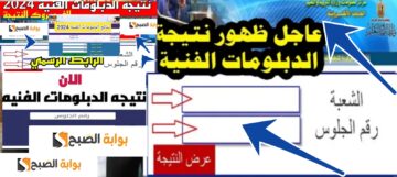 هنا لينك نتيجة الدبلومات صناعي وتجاري وزراعي وفندقي 2024 الدور الثاني