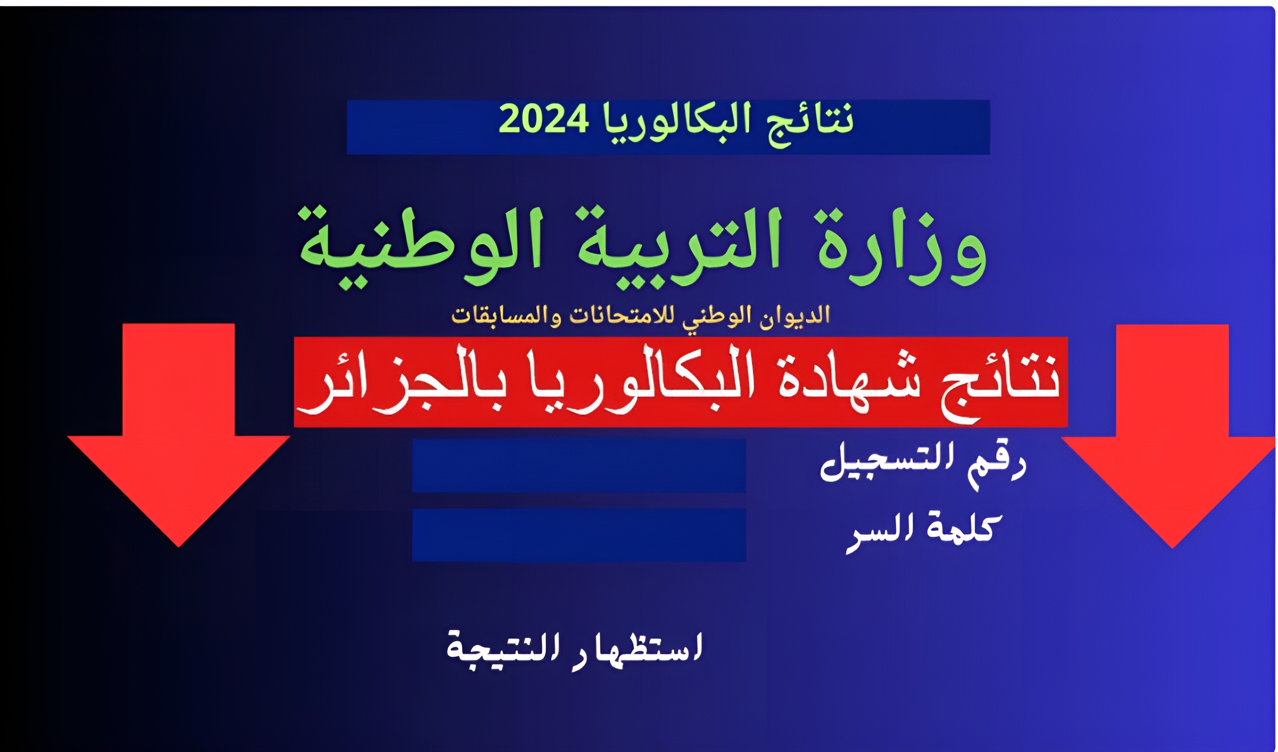 “استعلم الان” نتائج شهادة البكالوريا في الجزائر 2024 عبر موقع bac.onec.dz