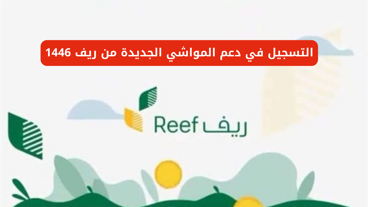 "هنا reef.gov.sa".. التسجيل في دعم المواشي الجديدة من ريف 1446 5 “هنا reef.gov.sa”.. التسجيل في دعم المواشي الجديدة من ريف 1446