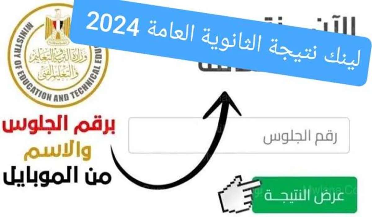 رسمياً.. نتيجة الثانوية العامة 2024 برقم الجلوس للشعبتين العلمية والأدبية