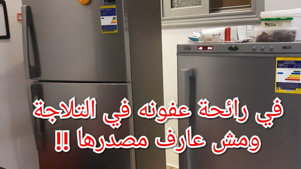 هتبقى زي الفل.. طريقة تنظيف الثلاجة وتعطيرها وإزالة الروائح الكريهة بمكونات موجودة في مطبخك بدون دعك أو فرك