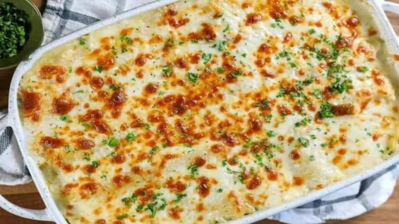 مكرونة بشاميل بالكبد والقوانص بدون بيض لغداء مميز بأقل تكلفة هتحضريها في دقايق