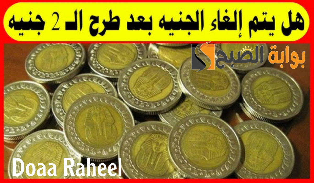حقيقة إلغاء الجنيه المصري وطرح فئة جنيهين.. الحكومة تحسم الجدل