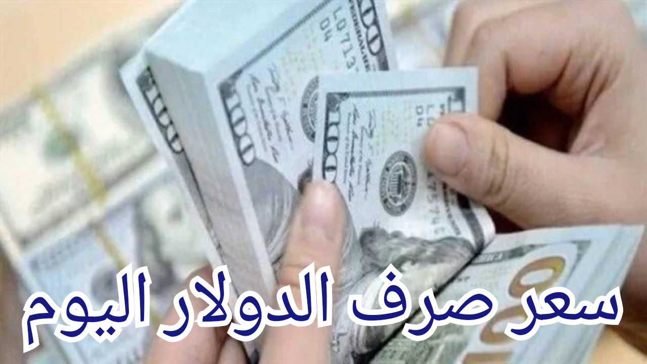 سعر الدولار اليوم مقابل الجنيه المصري السبت ٣ أغسطس 2024.. بكام الدولار؟
