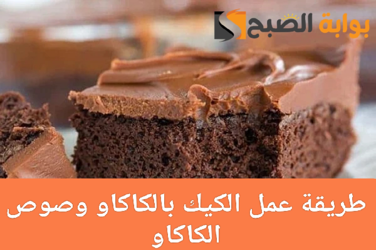 طريقة عمل الكيك الهش بالكاكاو والصوص وصفات لذيذة وسهلة في المنزل