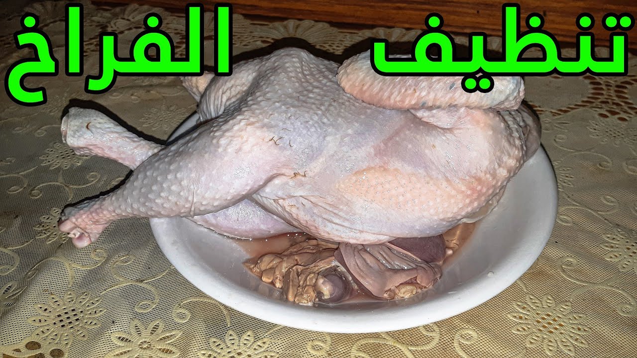 طريقة تنظيف وغسل الفراخ والتخلص من الزفارة وتعقيمها بخطوات سهلة وصحية