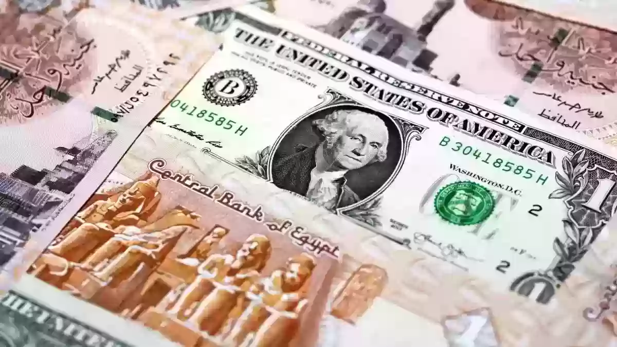 “بعد انخفاض الذهب ” … سعر الدولار اليوم في البنوك 12 أغسطس 2024 .. وكم أسعار العملات الأجنبية؟