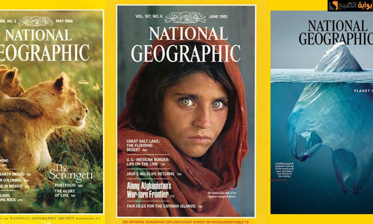 “بأقوى إشارة”.. تردد قناة ناشيونال جيوغرافيك الجديد National Geographic على النايل سات والعرب سات.. لمشاهدة عالم الحيوان