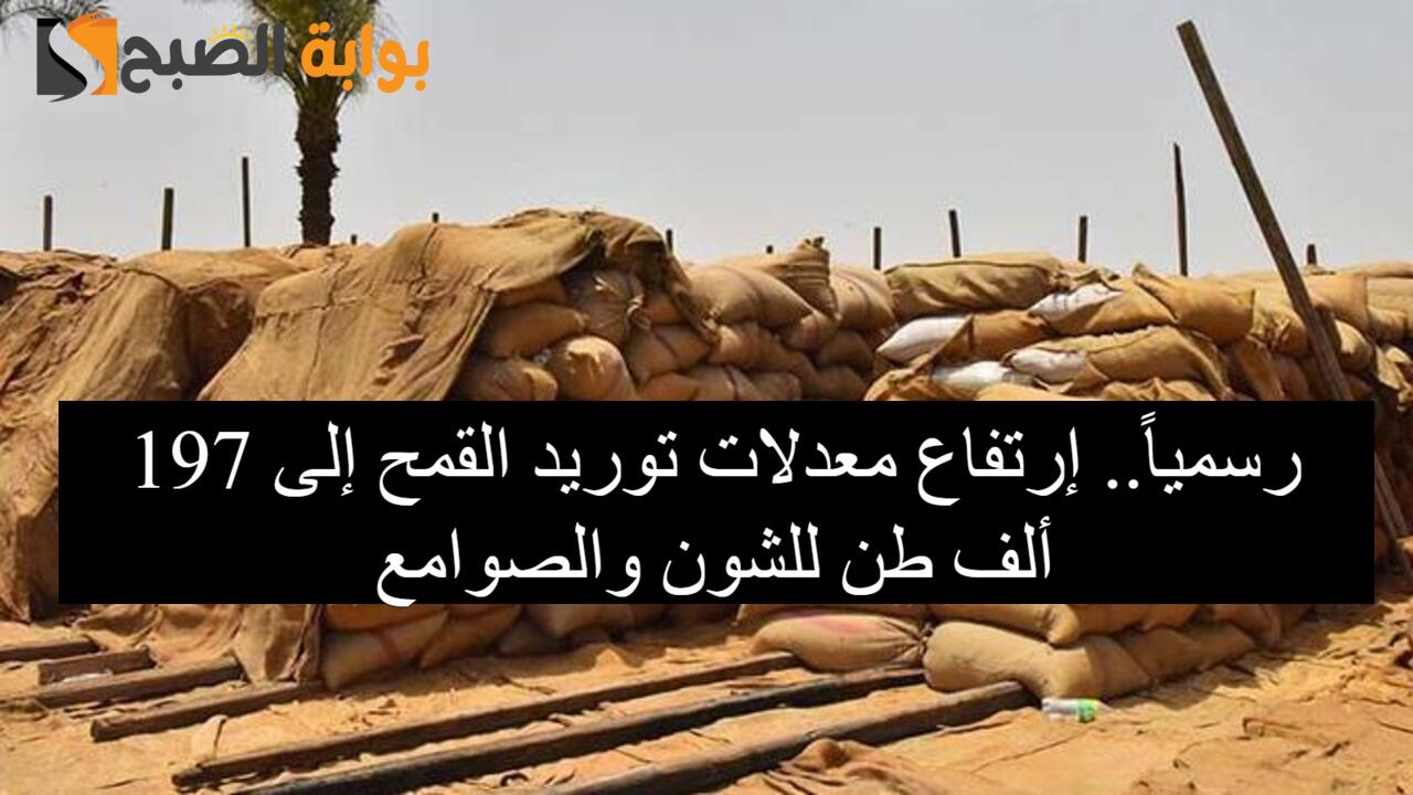 رسمياً.. إرتفاع معدلات توريد القمح إلى 197 ألف طن للشون والصوامع.. محافظ أسيوط يعلن