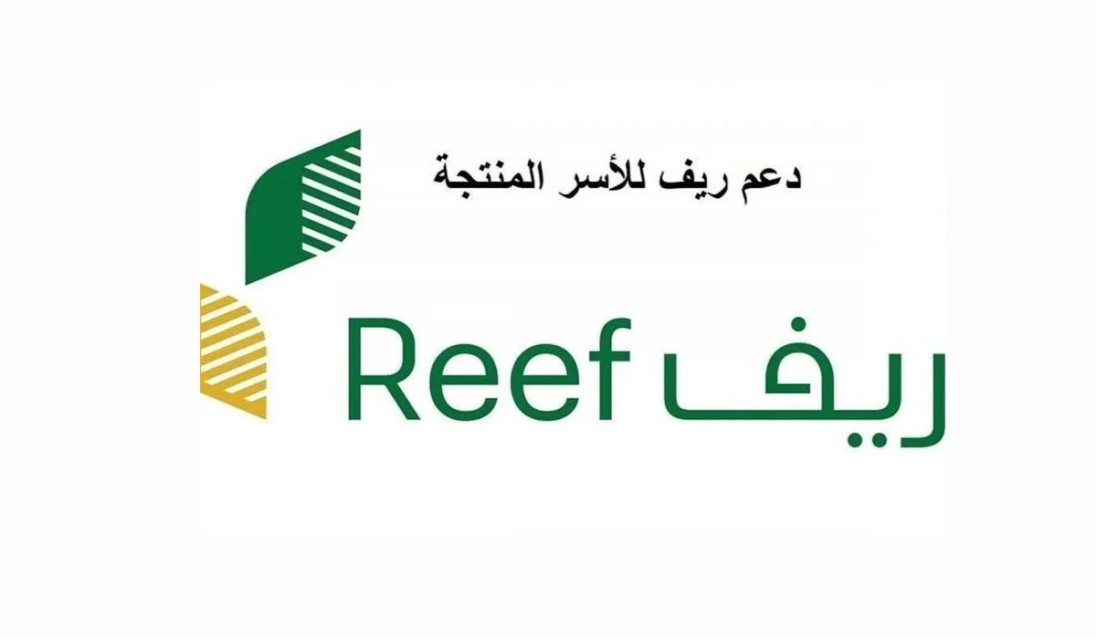 بالرابط والخطوات.. كيفية الاستعلام عن دعم ريف 2025| وشروط استحقاقه