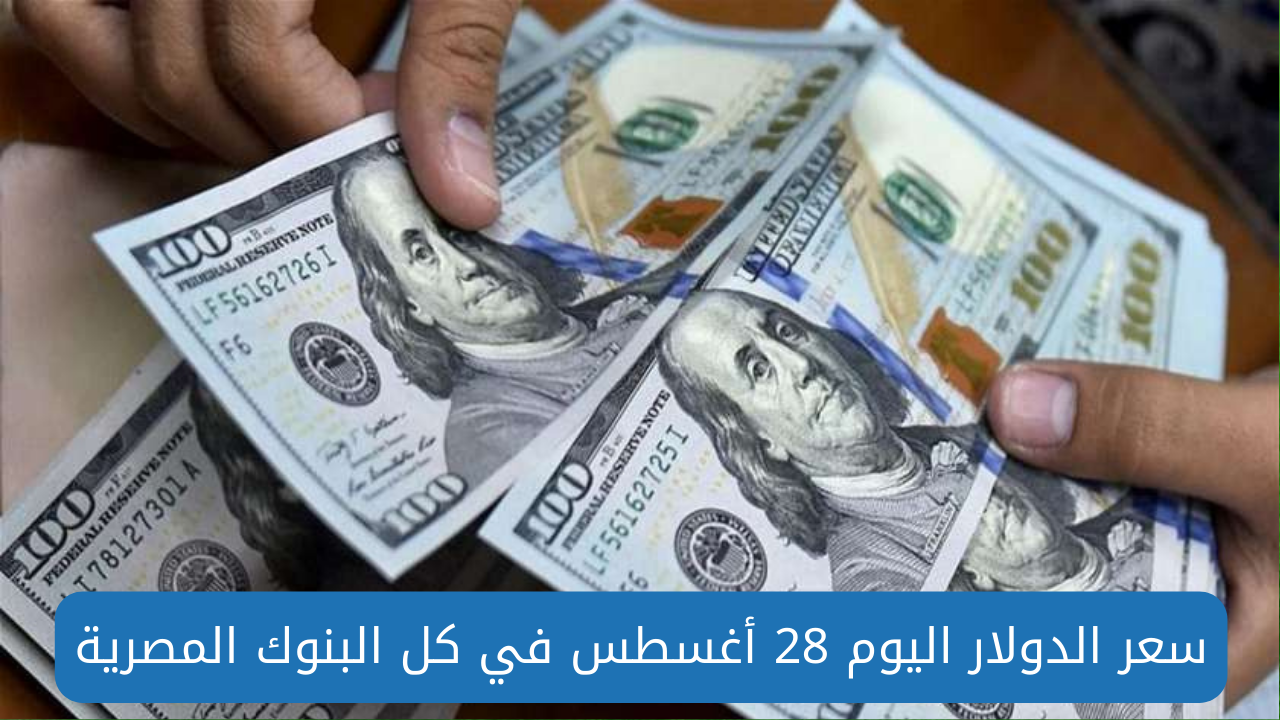 سعر الدولار اليوم 28 أغسطس 2024 والعملات الأجنبية في البنوك المصرية