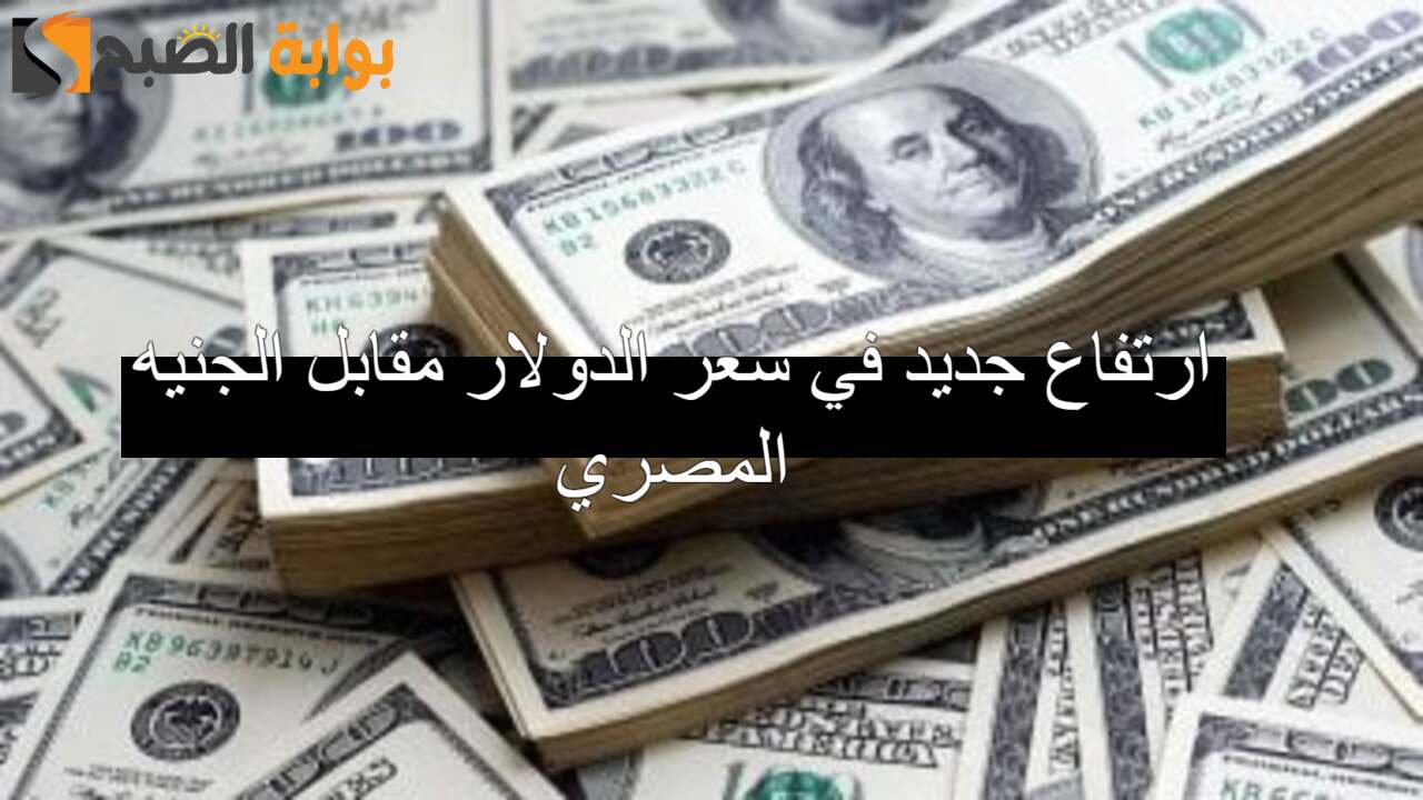 ارتفاع جديد يضرب سعر الدولار مقابل الجنيه المصري اليوم الإثنين 5/8/2024 في تعاملات البنوك المصرية