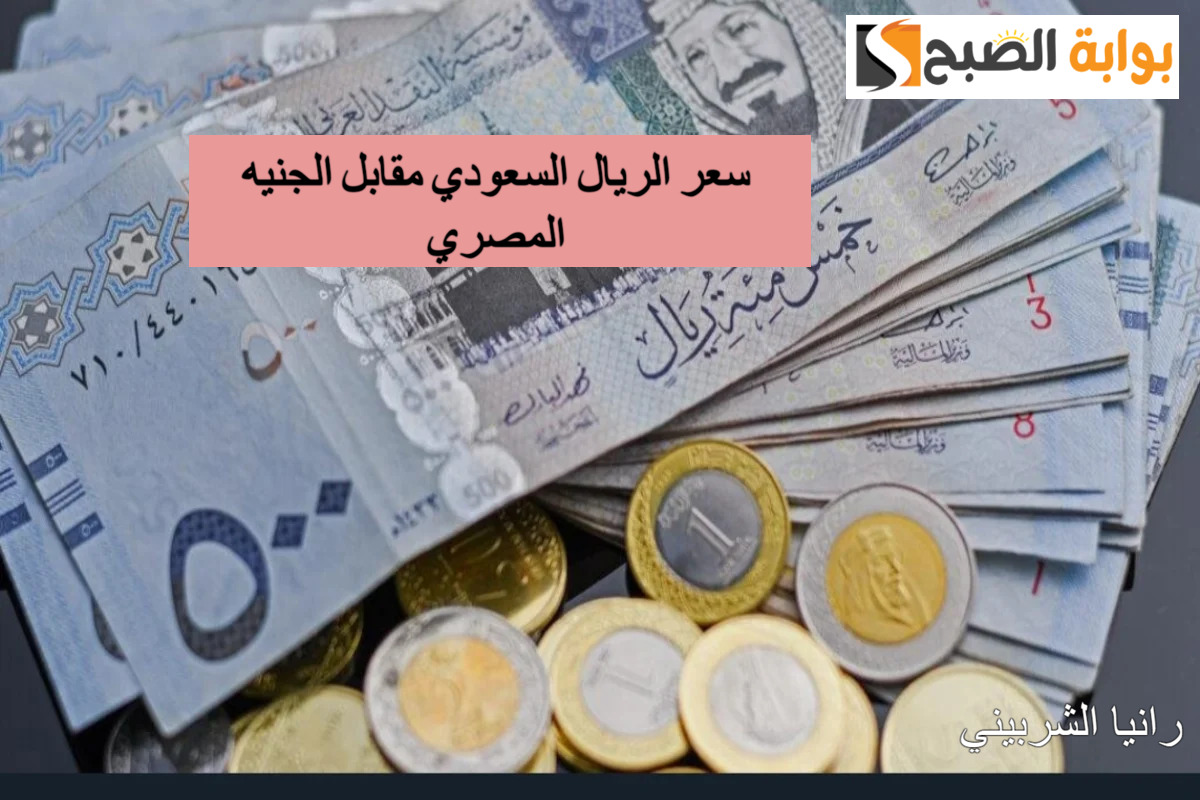 بكام النهارده؟.. سعر الريال السعودي مقابل الجنيه المصري اليوم السبت 17/8/2024 والدولار في البنوك