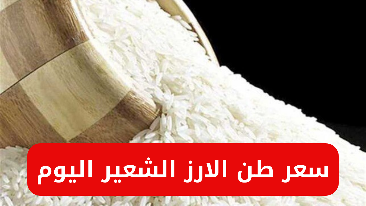 “يابختك يالي هتلحق تخزن”.. سعر طن الأرز الشعير اليوم الثلاثاء 27/8/2024 في مصر