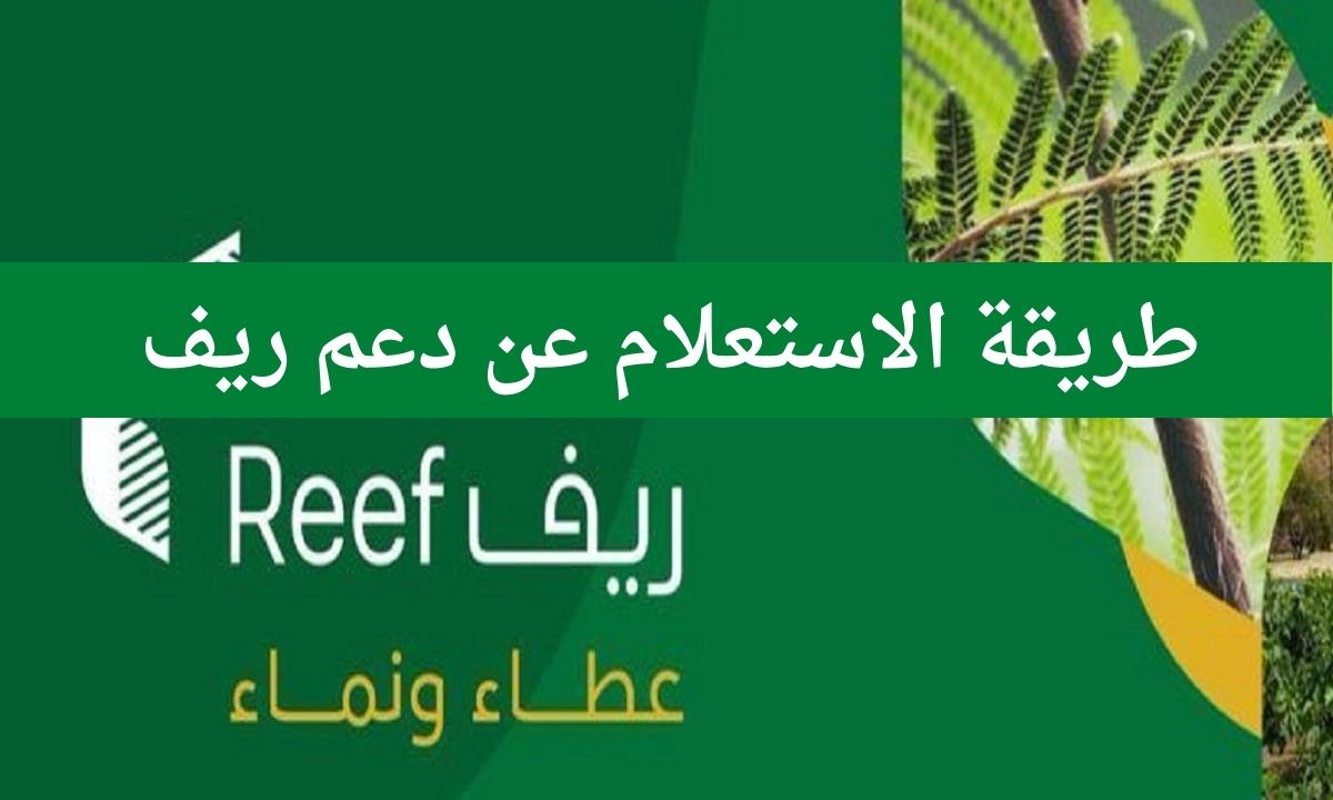 متى ينزل؟.. موعد صرف دعم ريف لشهر سبتمبر المقبل 2024 وما هي خطوات الاستعلام عن الدعم
