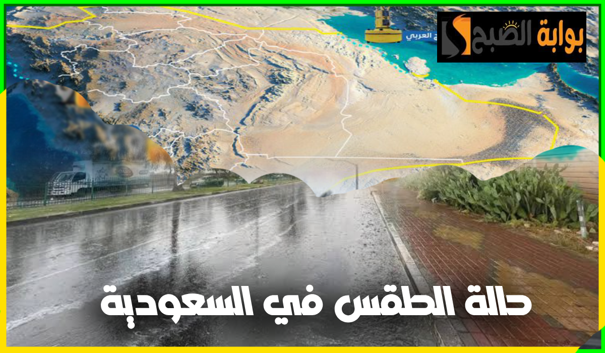 العظمى بالرياض 46.. مركز الأرصاد يعلن توقعات طقس السعودية اليوم الإثنين 19 أغسطس 2024