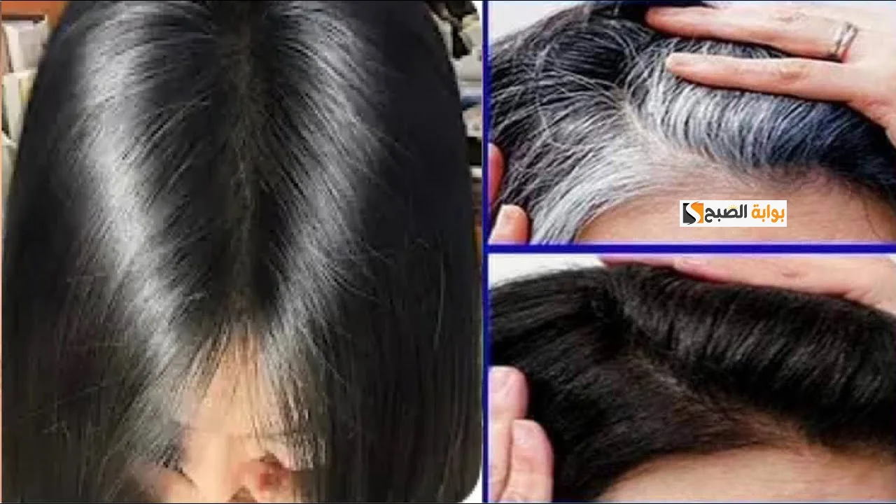 بموزة واحدة تخلصي نهائيا من الشيب حتى لو كان الشعر كله ابيض والنتيجة من اول استعمال