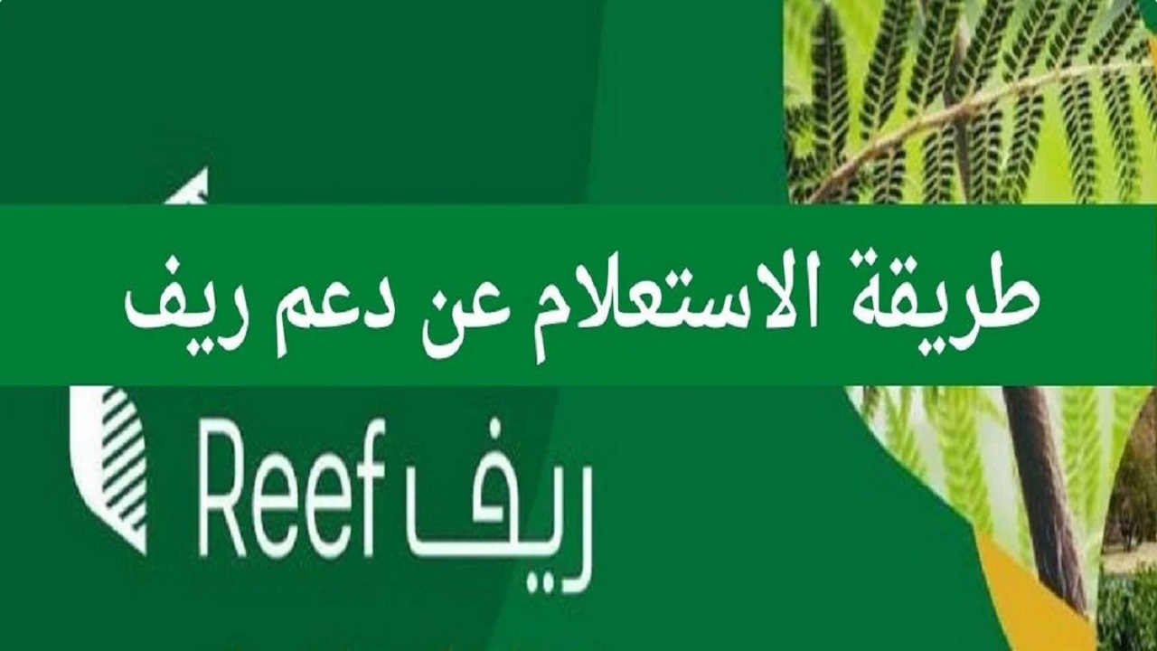 خطوات التسجيل في دعم ريف لربات البيوت 1446 والشروط المطلوبة