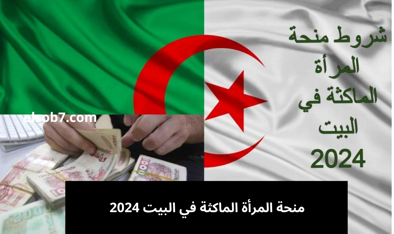 www anem.dz رابط تسجيل في منحة المرأة الماكثة الوكالة الوطنية للتشغيل 2024 وأهم الشروط