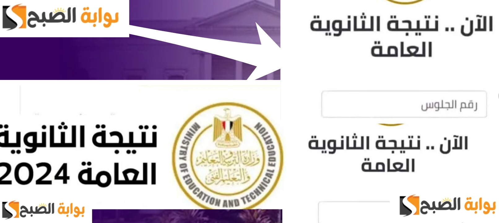 كيفية الحصول على نتيجة الثانوية العامة 2024 الرابط الرسمي والخطوات