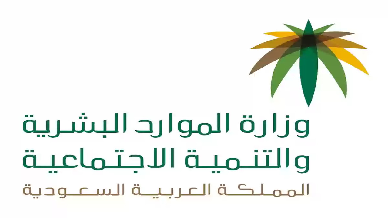 خطوات تسجيل الدخول إلى الضمان المطور عبر نفاذ وشروط الاستفادة 1446
