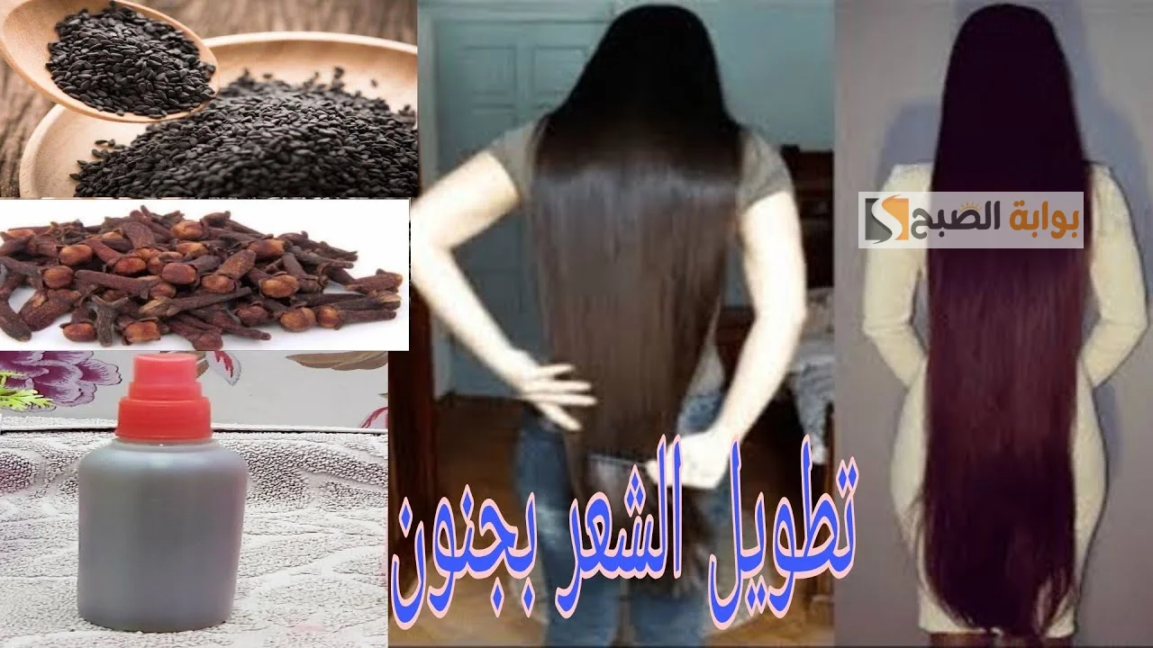 هيبقى زي ديل الحصان.. وصفة لإطالة الشعر بحبة البركة في أسرع وقت هيزيد 7 سم