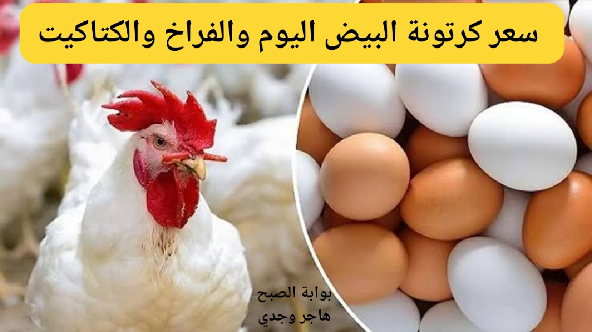 استقرار في الأسعار.. سعر كرتونة البيض اليوم الاربعاء 4/9/2024 أسعار الفراخ والكتاكيت
