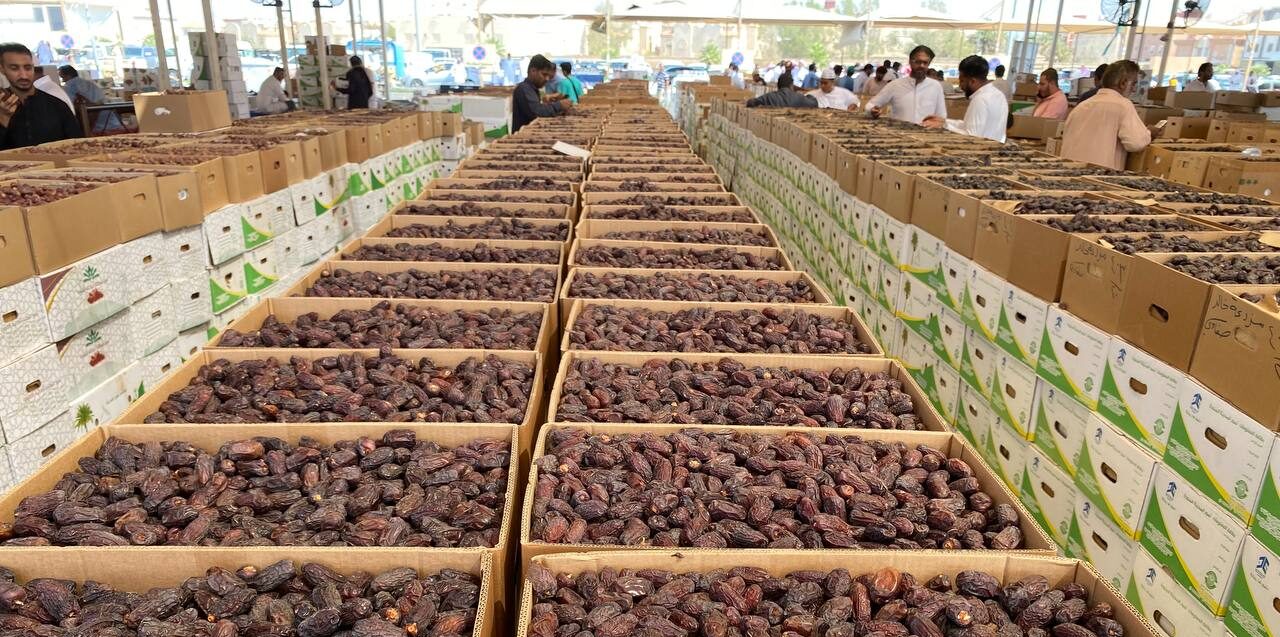 معرض المدينة للتمور 2024.. فرصة جديدة لتحفيز الاستثمار في القطاع