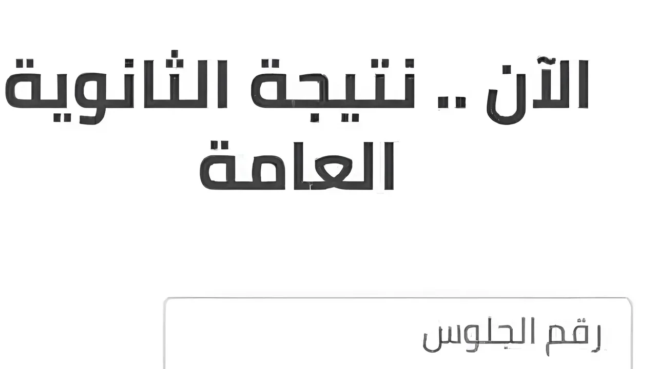 بـرقم الجلـوس.. لينك نتيجة الثانوية العامة 2024 الدور الثاني “فور ظهورها“