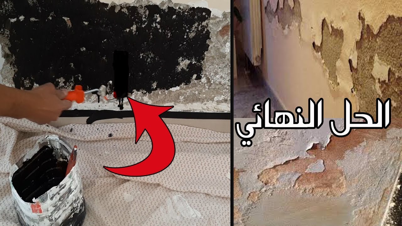 الحل النهائي للتخلص من رطوبة وعفن الحوائط بدون تكاليف ولا مجهود بمكون ميخطرش على بالك هترجع كأنها جديدة