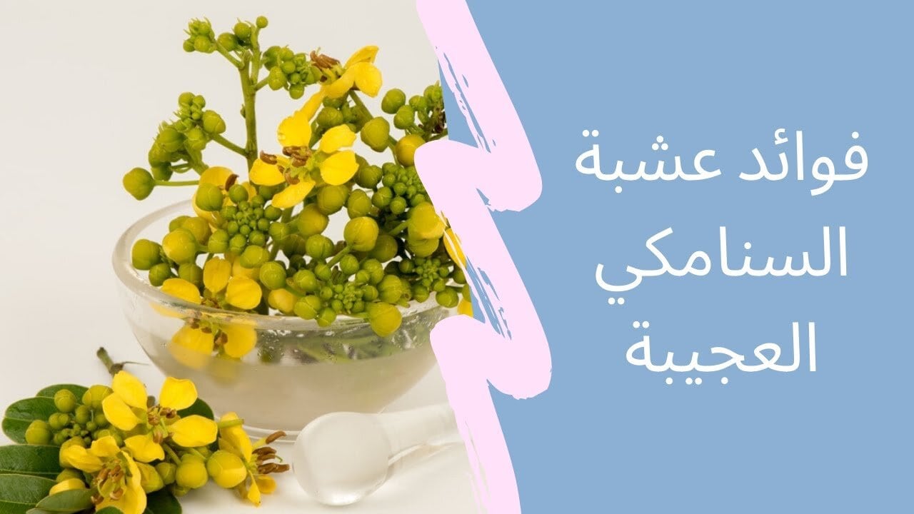 حلاوتها في بساطتها.. عشبة مهملة على الرغم من فوائدها اللي هتنبهر بيها
