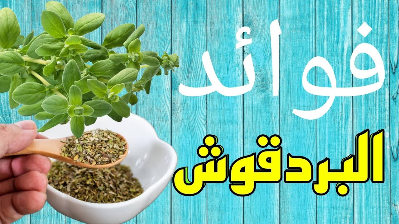عشبة فوائدها لا تنتهي.. احرص على الاستفادة من هذه النبتة التي لا تنضب منافعها