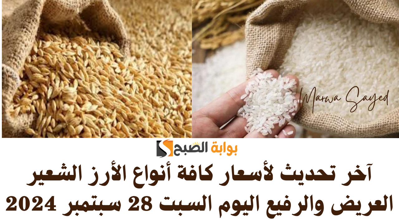“بكم وصل الطن النهاردة” .. آخر تحديث لأسعار كافة أنواع الأرز الشعير العريض والرفيع اليوم السبت 28 سبتمبر 2024