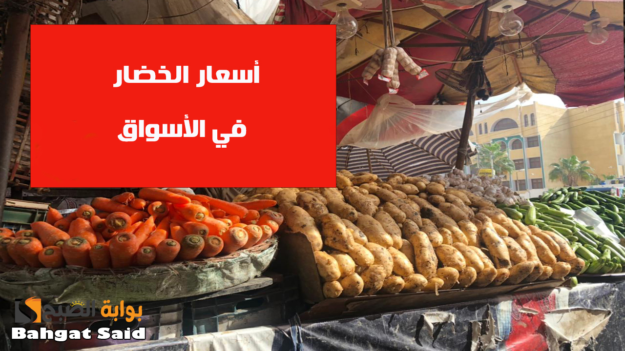 الطماطم بكام النهاردة… انخفاض أسعار الخضار اليوم الثلاثاء 1 أكتوبر