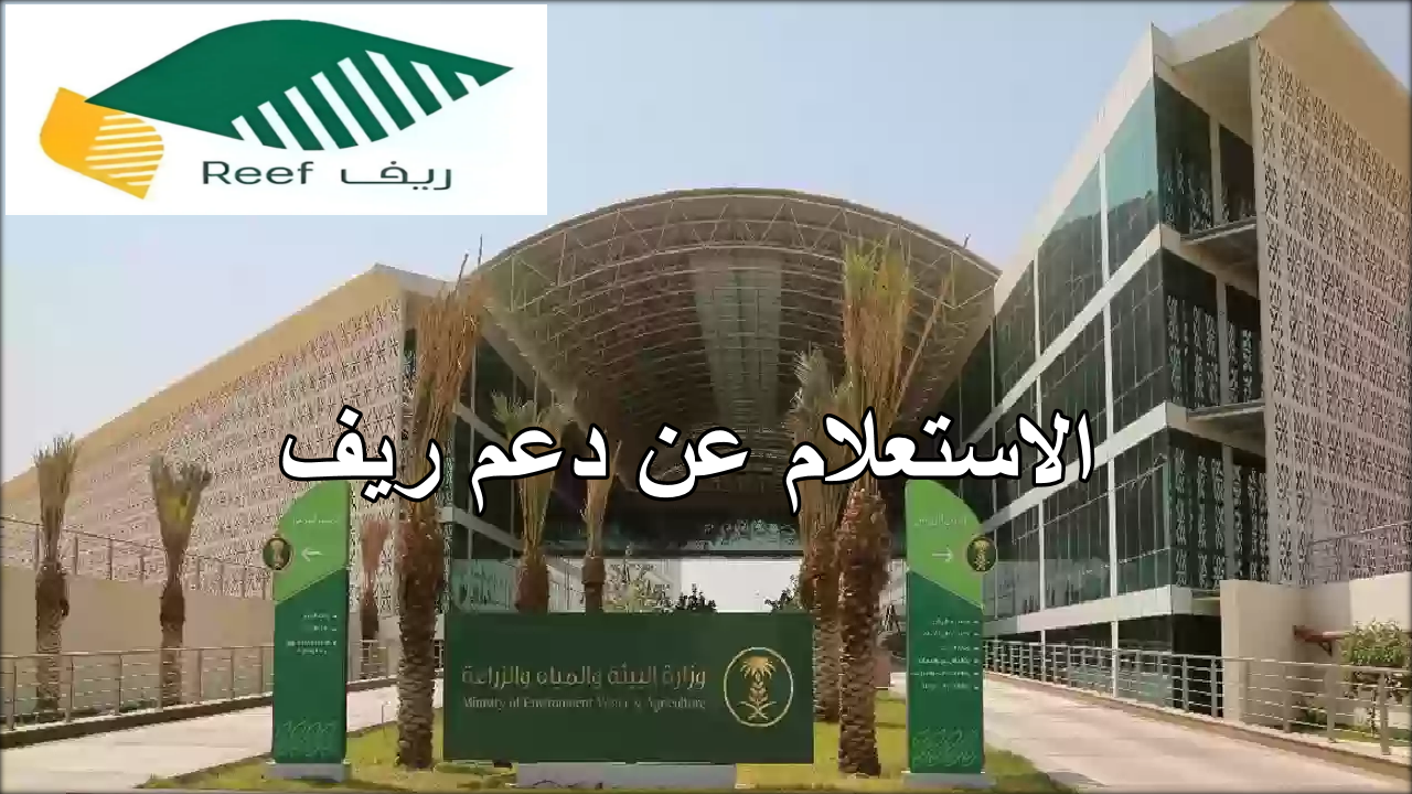 ما هي خطوات الاستعلام عن دعم ريف لاستحقاق شهر سبتمبر 2024؟ … وزارة البيئة والمياه تجيب