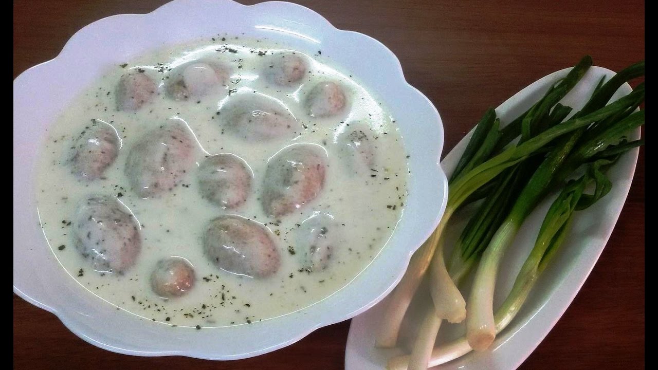 من أشهر الاكلات الشامية.. كبة لبنية بالطريقة السهلة