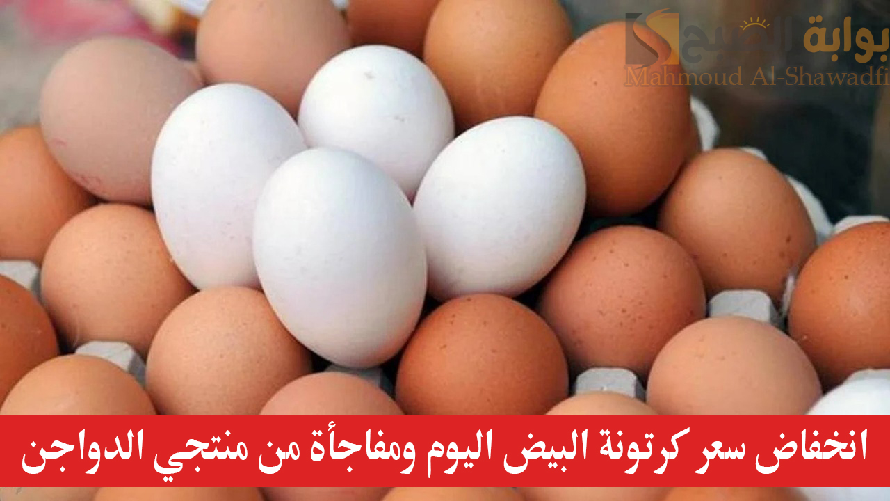 ارتفاع مفاجئ.. سعر كرتونة البيض اليوم ومفاجأة من منتجي الدواجن بشأن سعرها الحقيقي